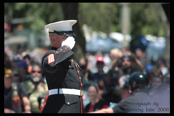 IMAGE: http://projectgangreen.smugmug.com/photos/301442711_zqChw-M.jpg